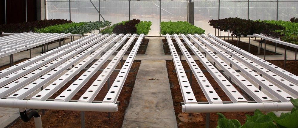 Aquaponics Vegetable Growing System Hydroponics PVC Nft Channel Micro Greens Growing Gutter Greenhouse System