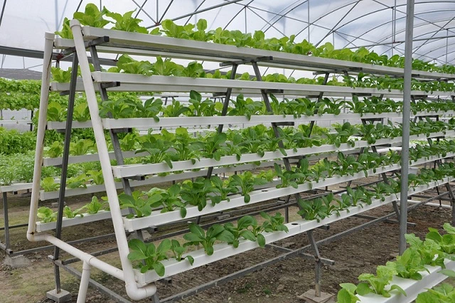 Commercial Soil Free Cultivation Nft Food-Grade Hydroponic Farming Systems for Leafy Greens