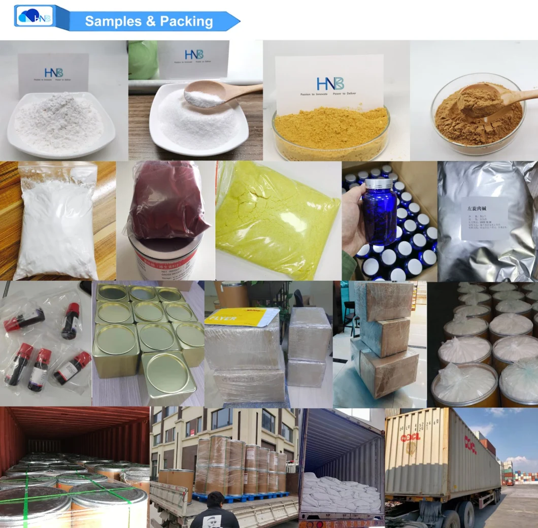 GMP Tetracaine HCl Bulk Powder 136-47-0 in Warehouse 99% Reliable Supplier for Tetracaine