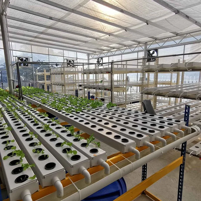 Hydroponics Garden Nft PVC Channel Growing System Hydroponics Eqiupment for Lettuce Leafy Greens