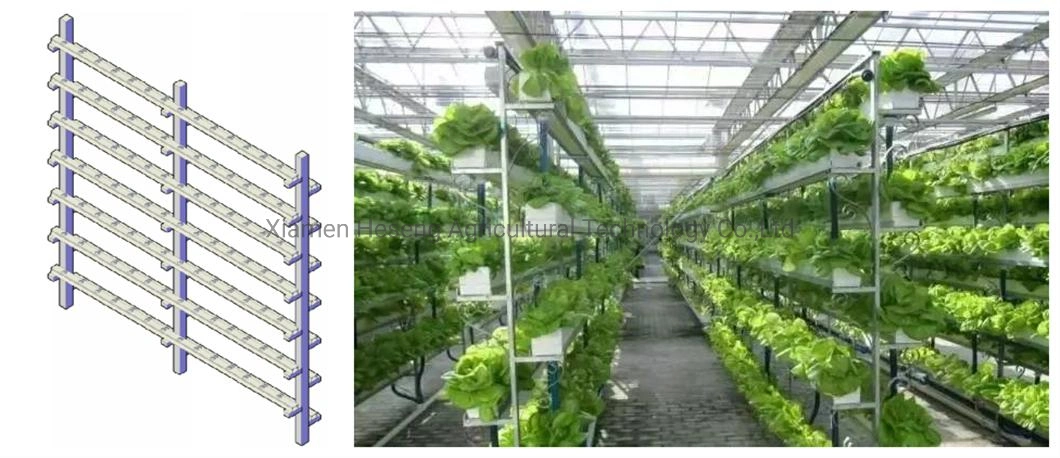 Commercial Hot Sale Hydroponic Channel System in Greenhouse and Farm Nft Hydroponics System with Hydroponics Equipment for Lettuce/Celery/Greens Cultivation