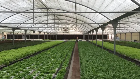 Sistema de cultivo hidropônico de canal de PVC de qualidade alimentar 100X50mm Nft para verduras folhosas